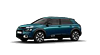 C4 Cactus